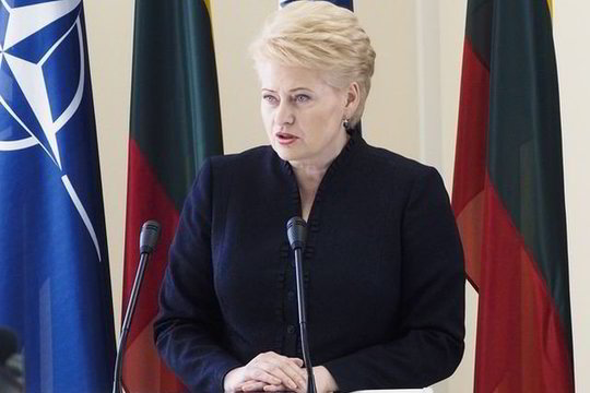 D.Grybauskaitės turtas per metus paaugo 200 tūkst. litų