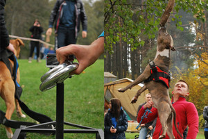 Galingiausių šunų kovoje – įspūdingi šuoliai (foto)