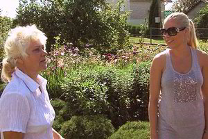 N.Pareigytės mama: „Nijolė nuėjo visai ne tuo keliu“