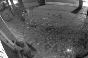 Apsaugos kamera nufilmavo žaibišką vagystę Kaune