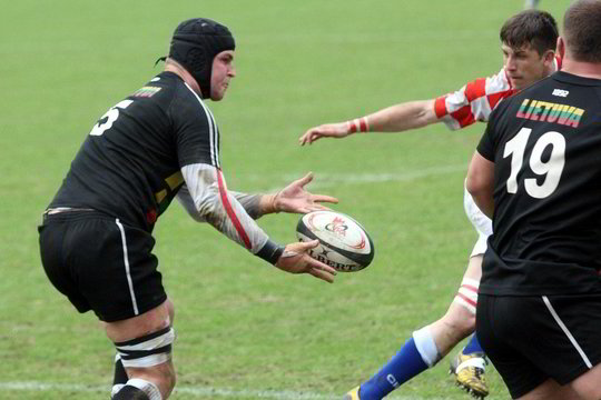 Regbio rinktinė smuktelėjo pasaulio reitinge