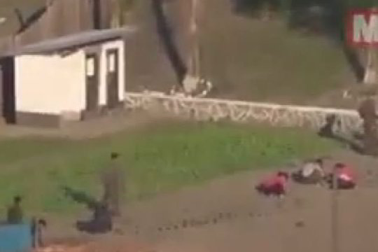 Siaubo istorijos Šiaurės Korėjos lageriuose: sau kasami kapai ir tėvų žudomi vaikai
