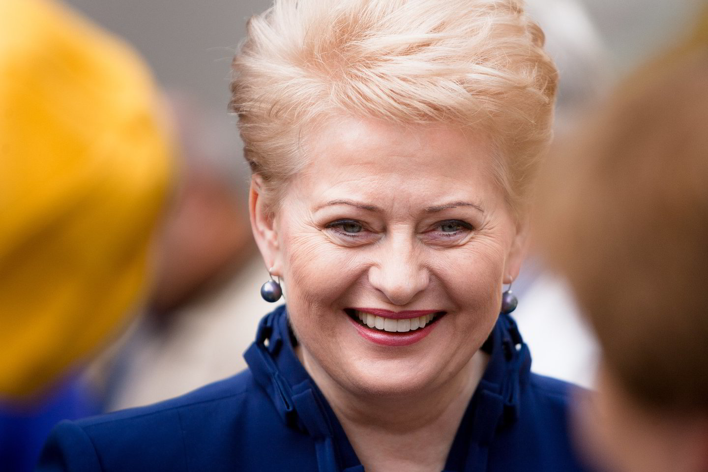 D.Grybauskaitė penktadienį paragino politikus nekomentuoti ikiteisminio tyrimo dėl valstybės paslapties atskleidimo.