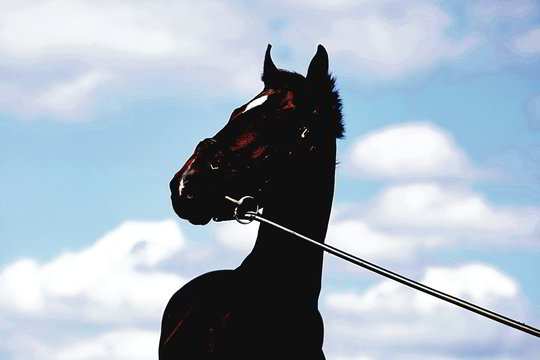 Astrologai prognozuoja: ateinantys metai bus sėkmingi