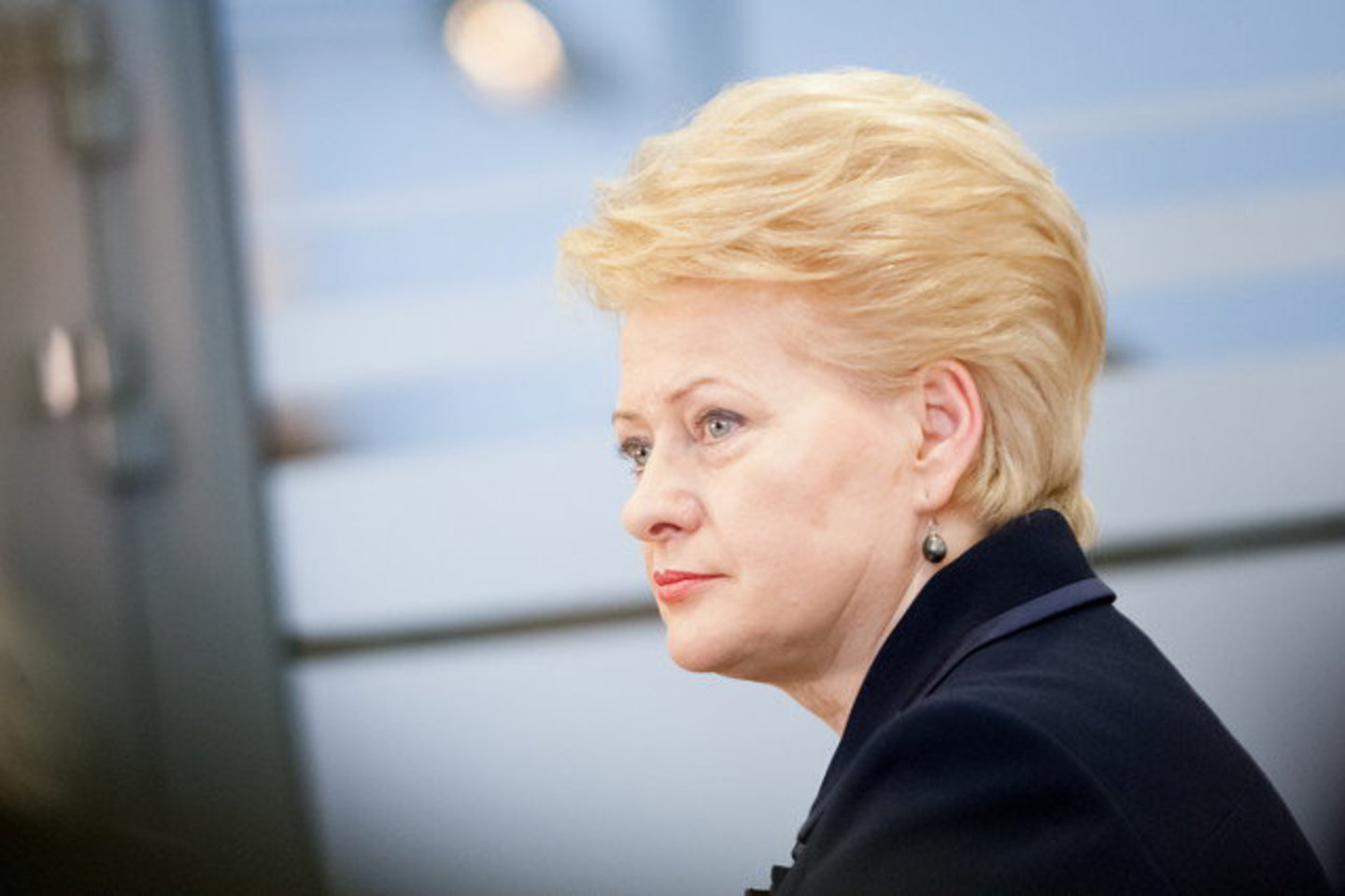 D.Grybauskaitė sako, kad kiti metai turi būti skirti socialinėms problemoms spręsti.<br>D.Umbraso nuotr.