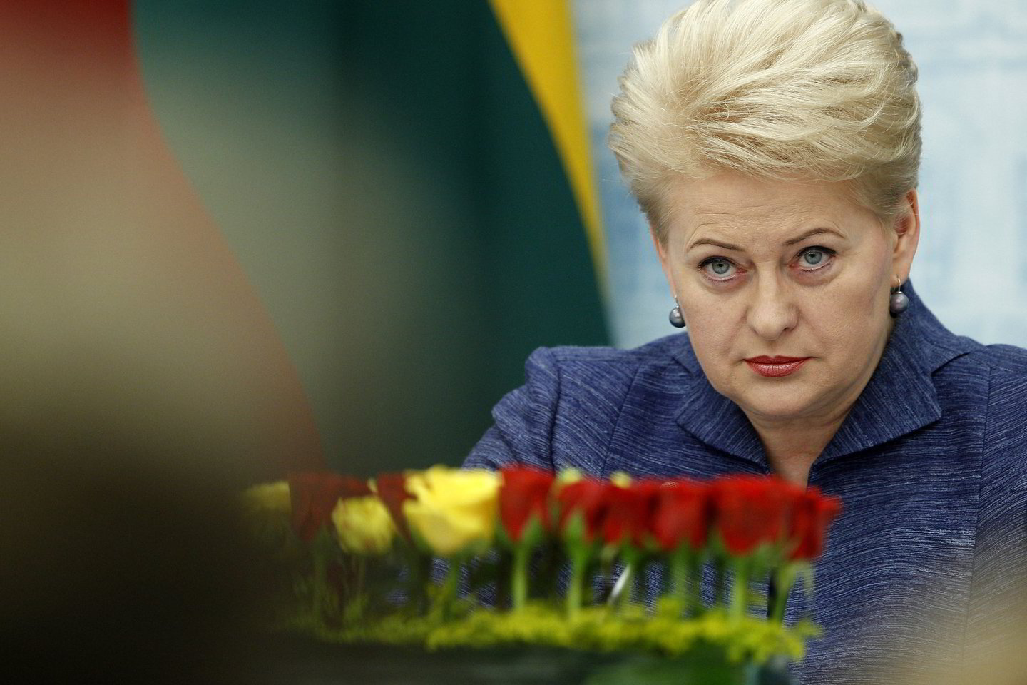 D.Grybauskaitė pažymi, kad Lietuvai prognozuojamas vienas sparčiausių ekonomikos augimų Europos Sąjungoje.<br>M.Kulbio nuotr.