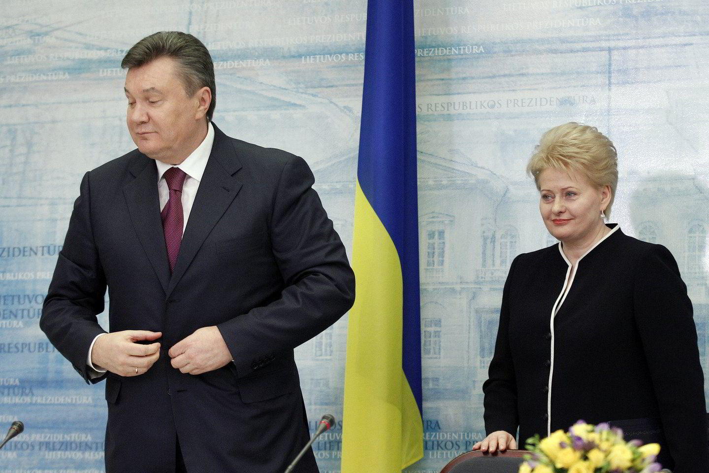 D.Grybauskaitės teigimu, visi ES vadovai pamatė kitokį V.Janukovyčių.