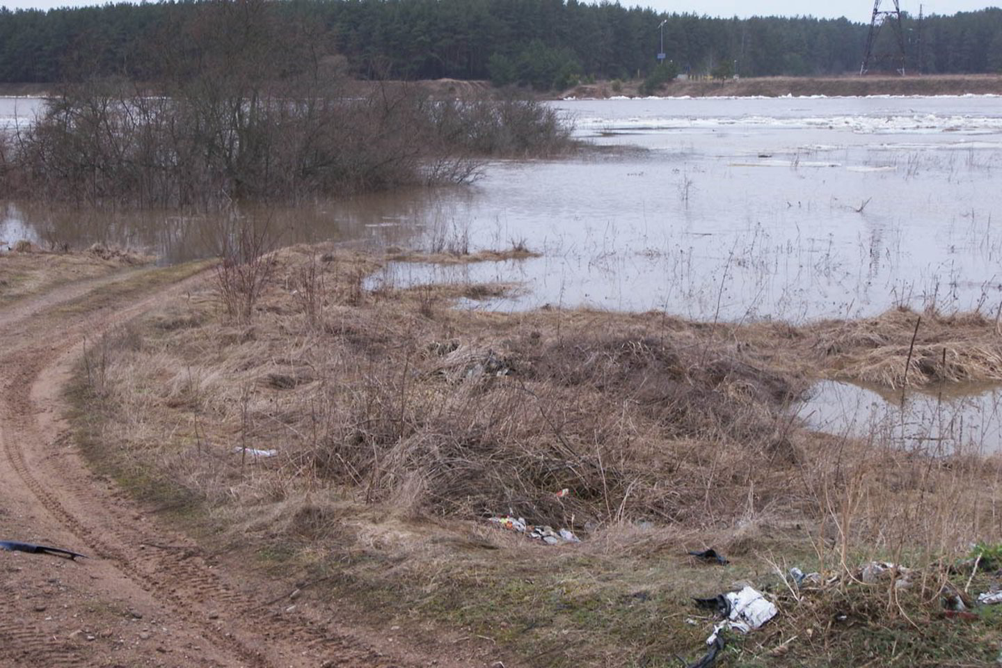 Moters kūnas aptiktas maždaug už 15 kilometrų nuo Jonavos.