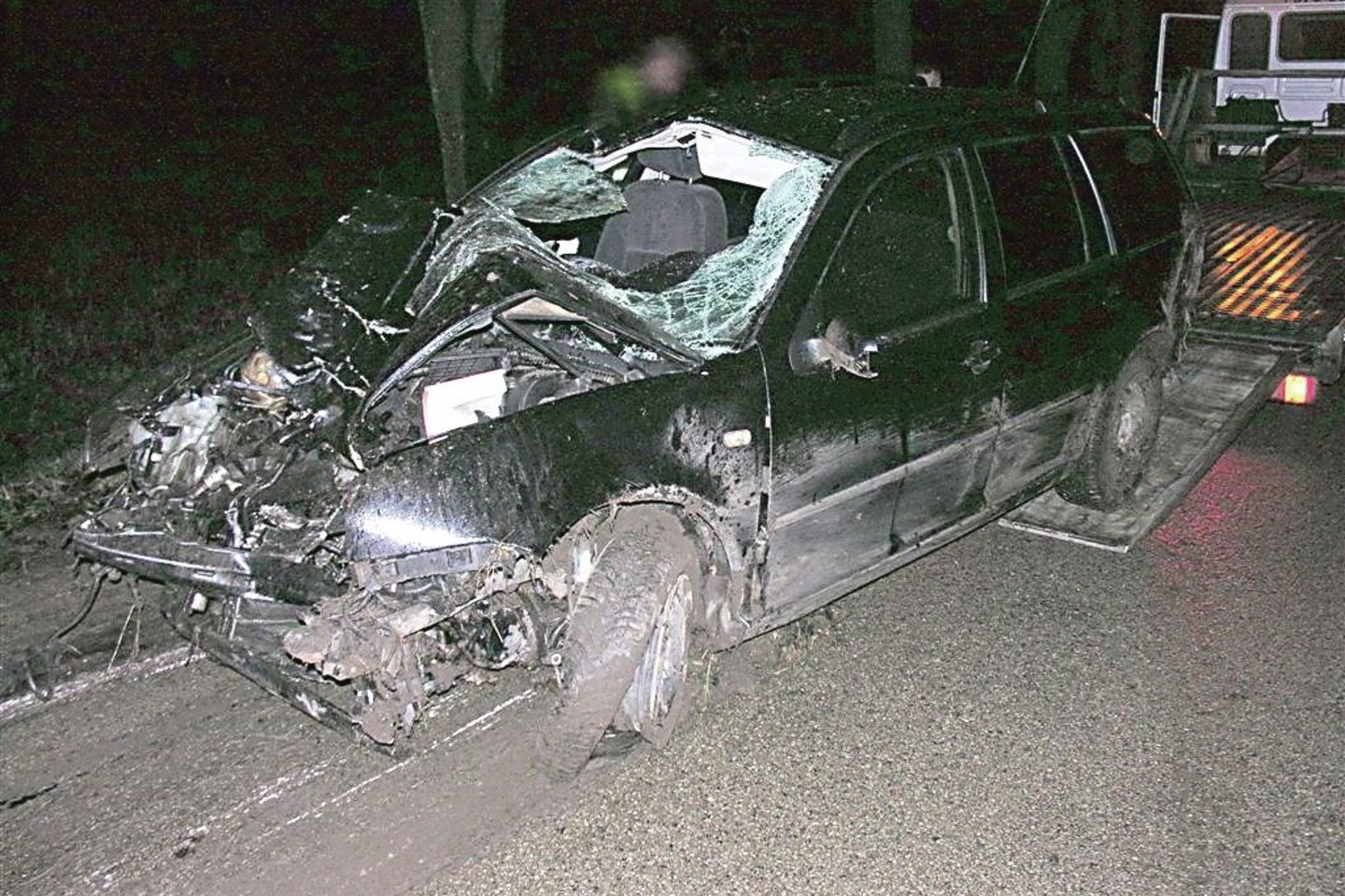 „Volkswagen Golf“ neišsiteko posūkyje, nulėkė nuo kelio ir rėžėsi į medį.