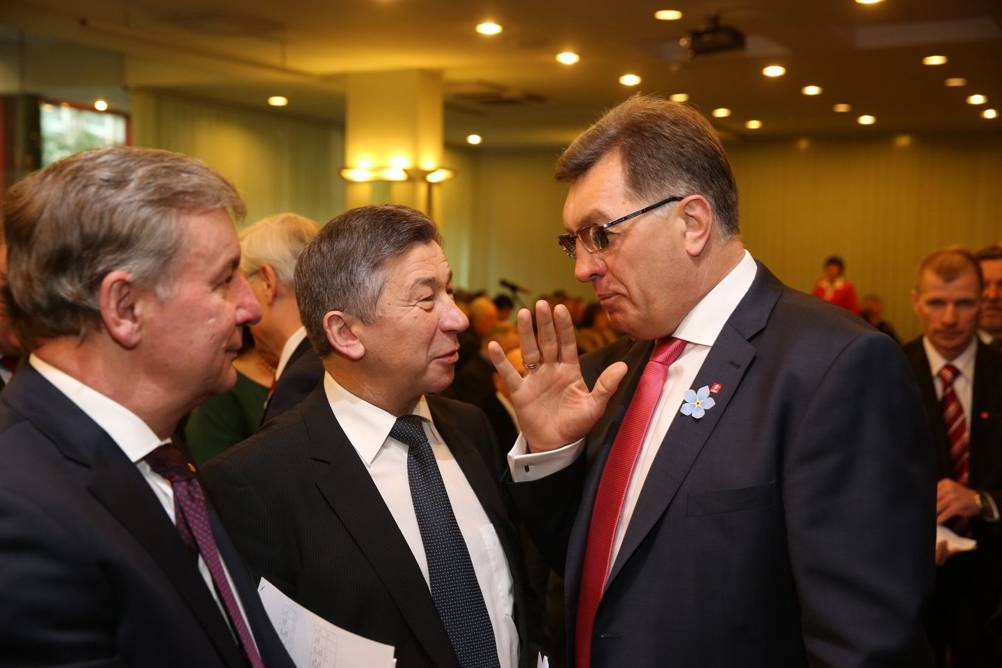 A.Butkevičius nusprendė pažiūrėti olimpines žaidynes Rusijoje.
