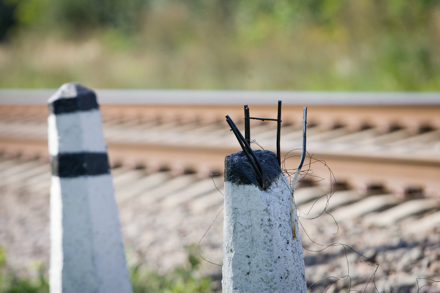 Kaimyninės valstybės ne itin trokšta, kad "Rail Baltica" vėžė suktų į Vilnių.