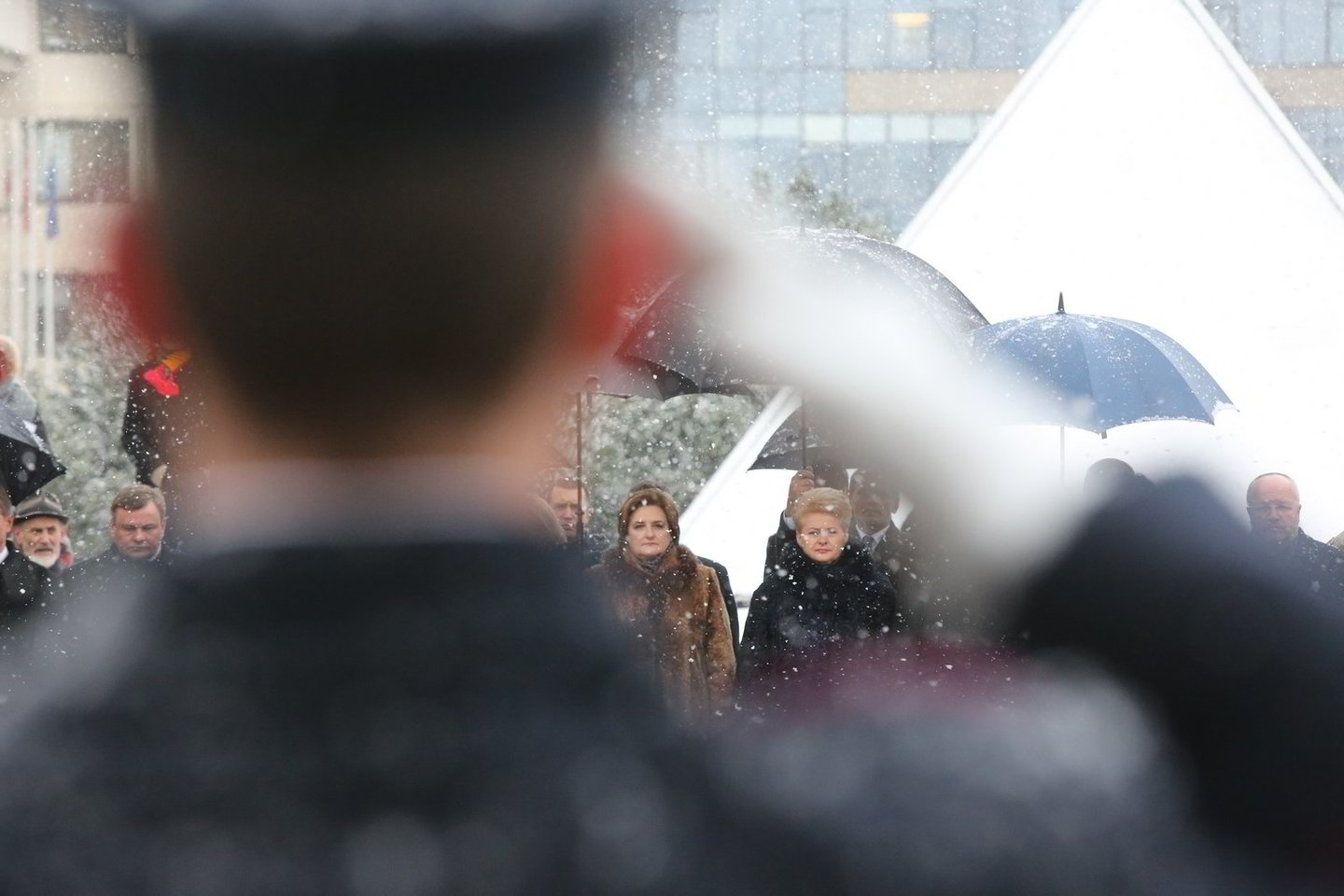 D.Grybauskaitė ir L.Graužinienė dalyvavo Sausio 13-ąjai skirtuose renginiuose.