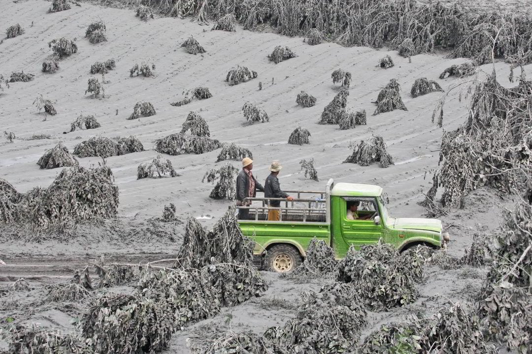 Sinabungo ugnikalnis apylinkų gyventojams pridarė daug žalos.<br>AP nuotr.