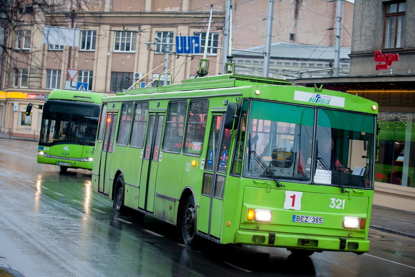 Už 12 litų per metus galės važinėti tremtiniai, politiniai kaliniai, prievartinių stovyklų kaliniai.