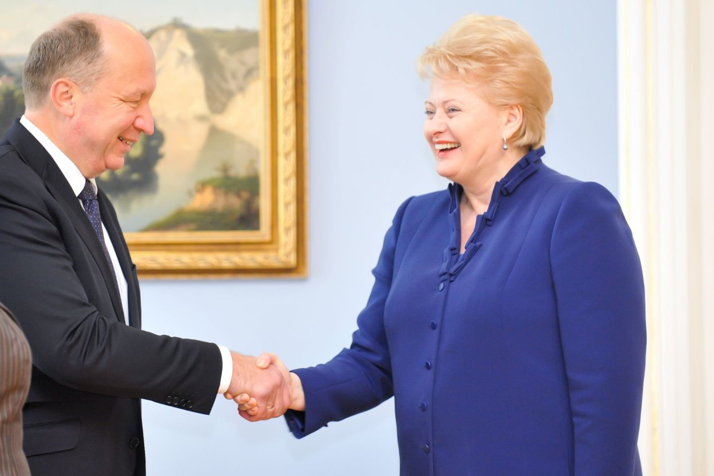 A.Kubilius: „Lietuvai ir toliau reikia tokios prezidentės kaip D.Grybauskaitė."