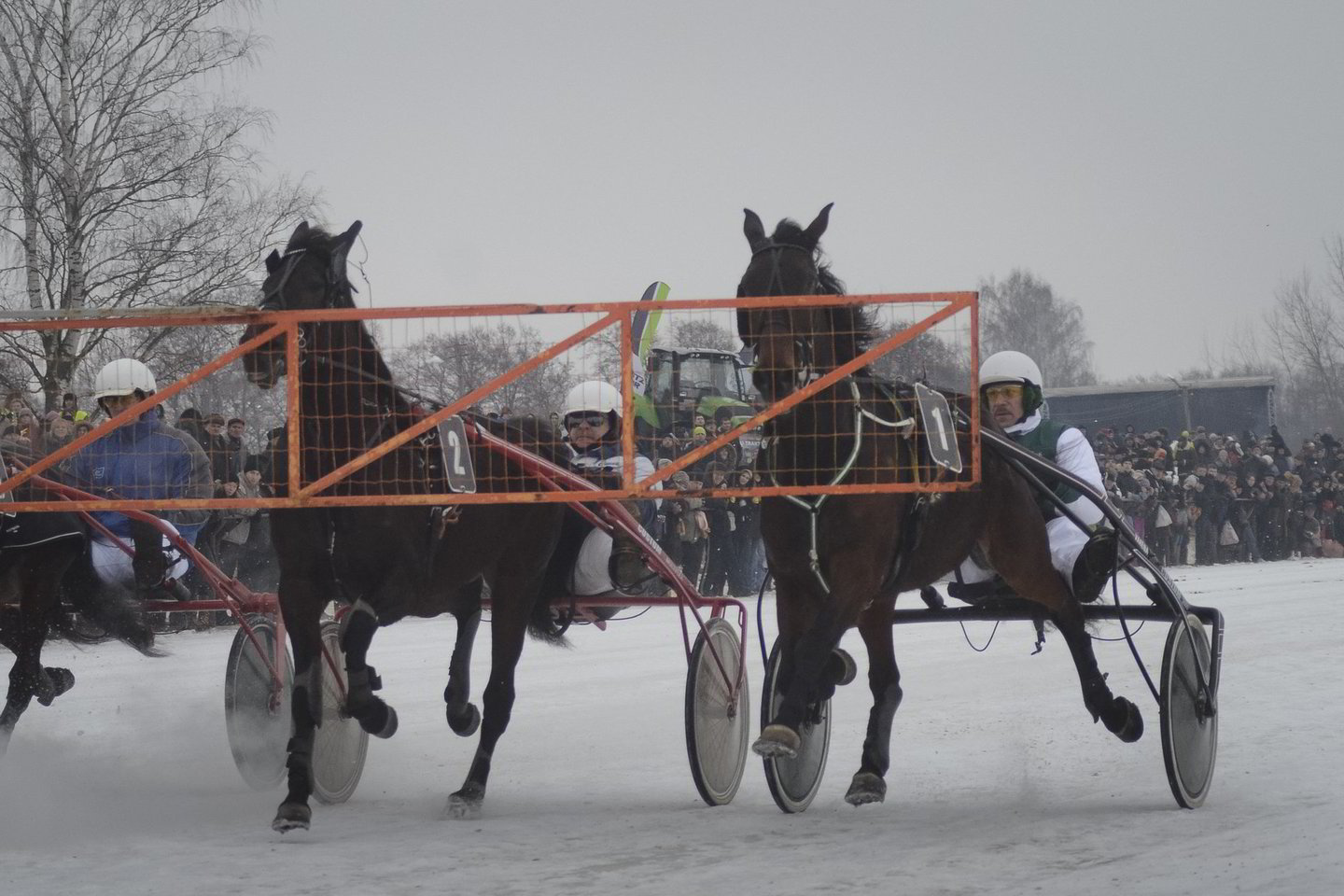 Akimirka iš 2013-ųjų lenktynių.
