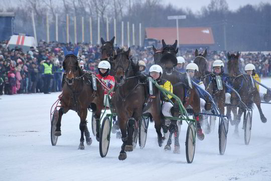 „Sartai 2014“ – perlas žiemos sporto karūnoje