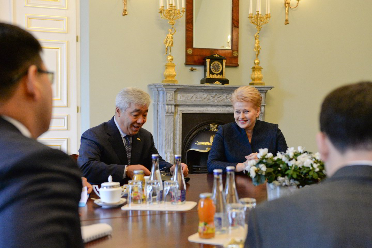 D.Grybauskaitė susitiko su Kazachstano užsienio reikalų ministru J.Idrisovu.
