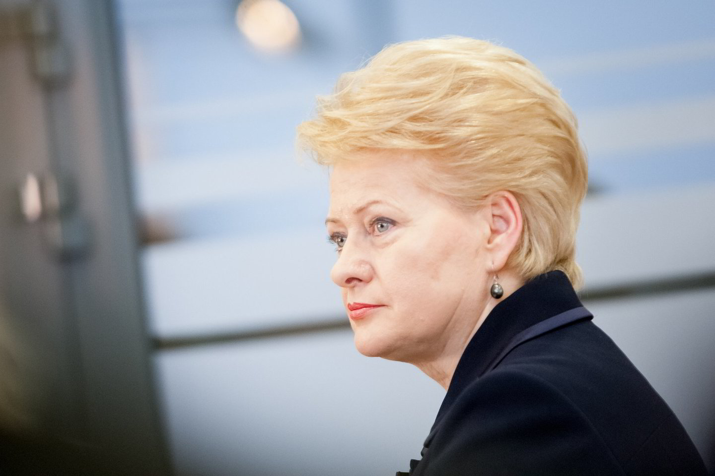 D.Grybauskaitės įsitikinimu, negalima tuo pat metu įsivesti euro ir kelti MMA.