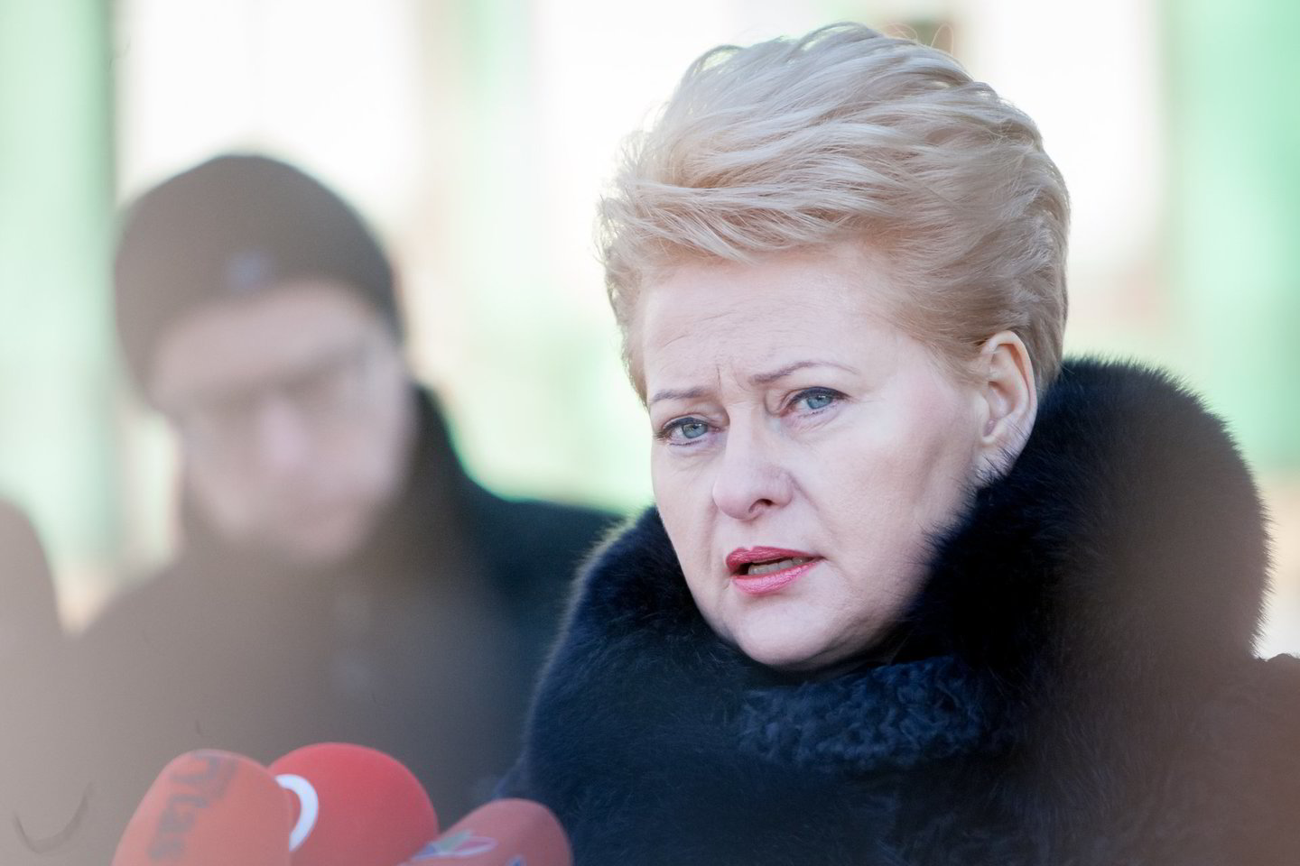 D.Grybauskaitė pridūrė šalies vidaus politikoje matanti „politinės, priešrinkiminės destabilizacijos laikotarpį“, kurį pavadino pavojingiausiu.