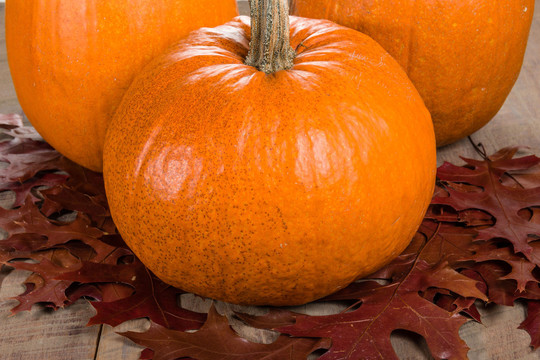 Patiekalus ruoškite pagal metų laikus