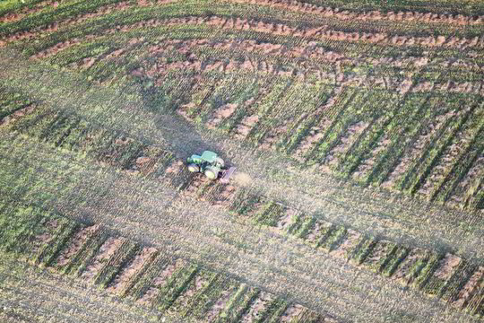 Žemės rinką atvėrę estai ir čekai netapo baudžiauninkais