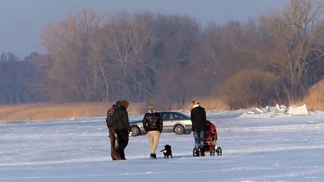 Ant Kuršių marių ledo – šonaslydžio siautulys