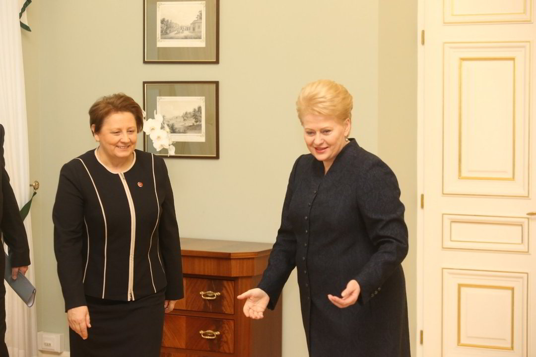 L.Staujuma susitinka su prezidente.<br>R.Danisevičiaus nuotr.