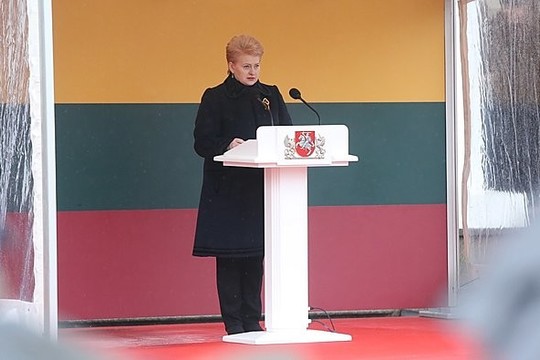 Prezidentė: „Ne visiems savarankiška Lietuva yra vertybė“