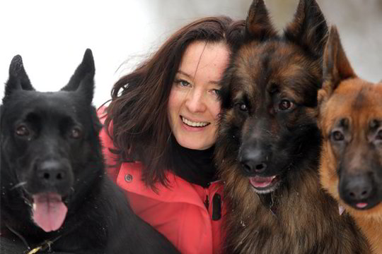 Kur iš tiesų gyventi šuniui gera?