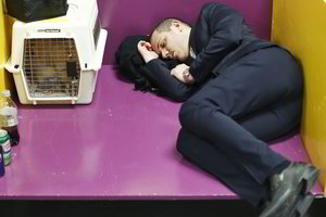 Oksfordo tyrėjai smegenyse atrado miego „mygtuką“