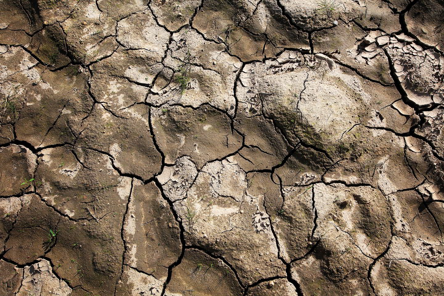 Visoje ES rimta problema klimato kaitą laiko 90 proc. apklaustųjų.