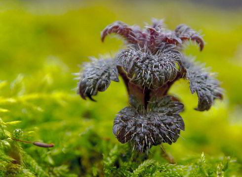 Verkių parke – pavasario ženklai