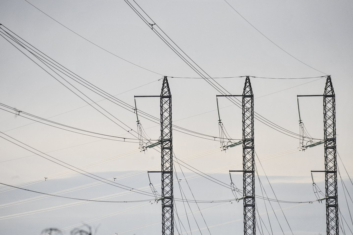 Vietinių elektros generatorių gaminama elektra dažniausiai yra brangesnė už importuojamą.