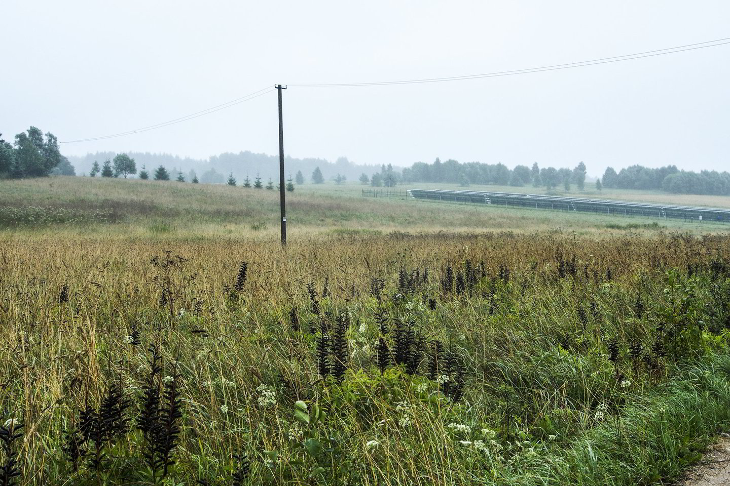 Žemę siūloma parduoti ES, Šveicarijos, Islandijos, Norvegijos bei Lichtenšteino piliečiams.