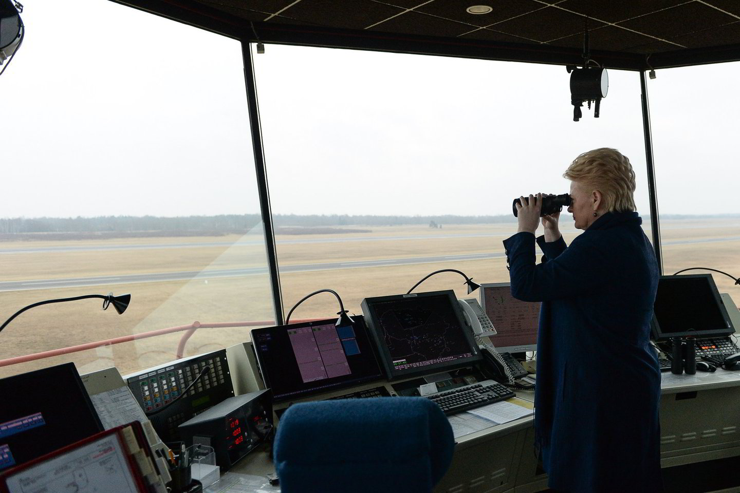 D.Grybauskaitė pažiūrėjo į tolį.