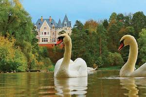 V.Janukovyčius su meiluže apsigyveno rūmuose prie Rubliovkos