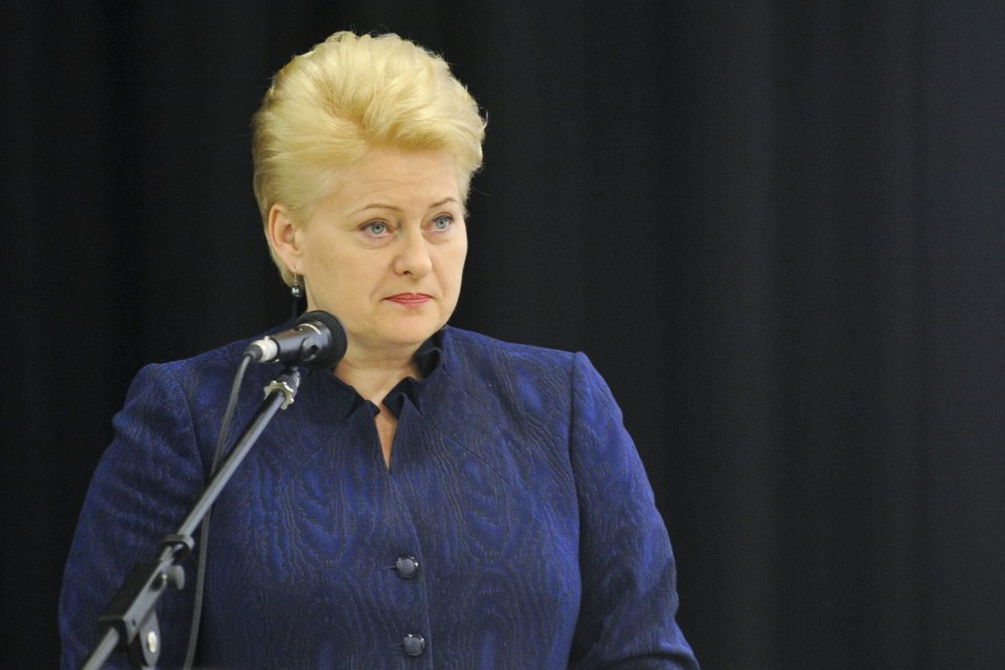 D.Grybauskaitė sulaukė pasiūlymo atimti Sausio 13-osios atminimo medalį iš Kremliaus propagandos ruporo.<br>V.Ščiavinsko nuotr.