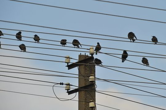 Skandinavai rusišką elektrą Lietuvoje atpigins jau kitąmet