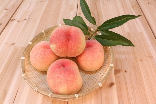 Persikas