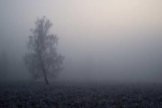 Migla