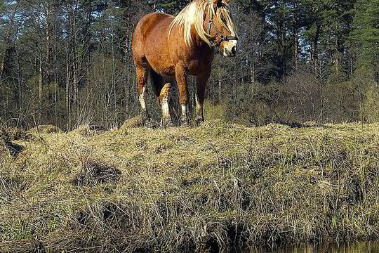Saugiklių džiunglėse – spąstai ir čiabuviams