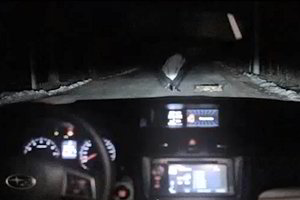 „Subaru“ šokiravo sukūręs itin rusišką reklamą