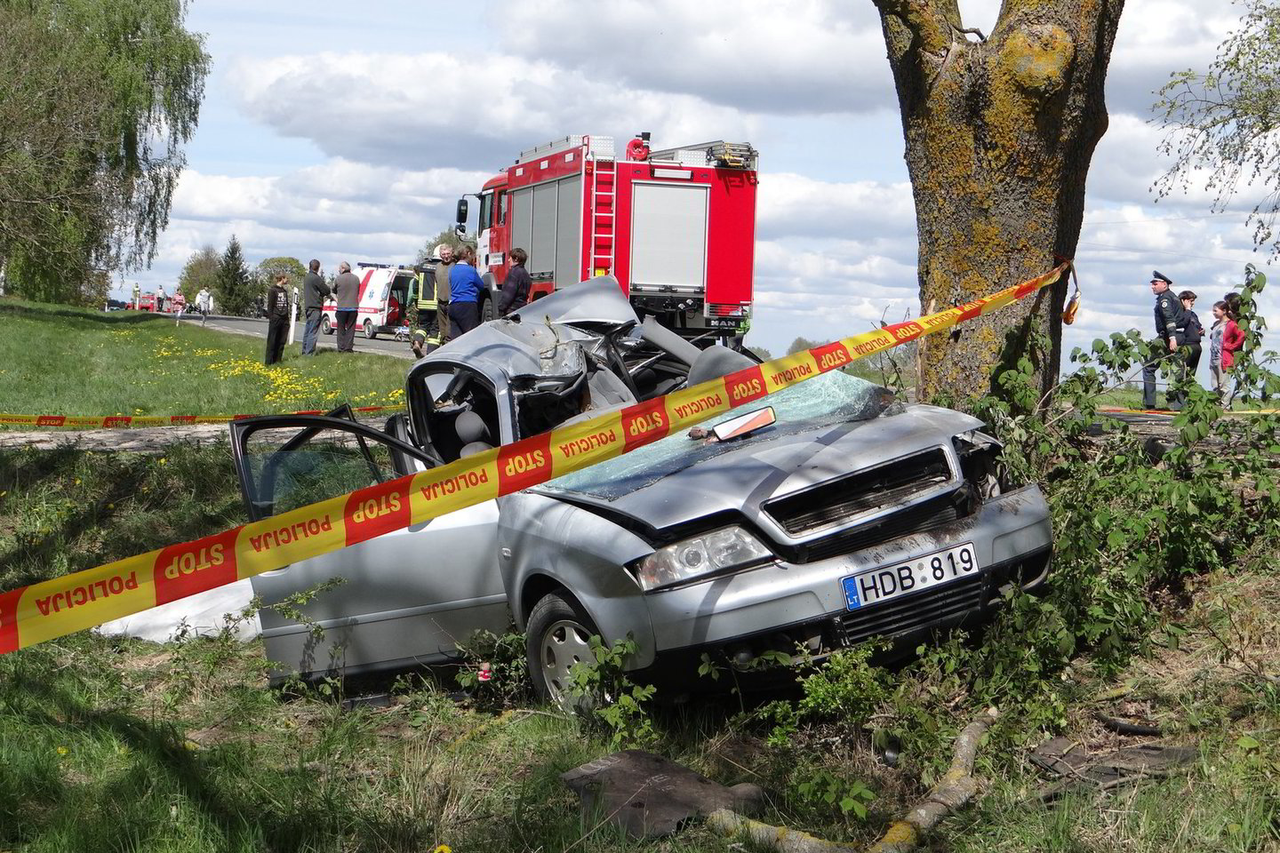 Per šią avariją Kelmės rajone vienas žmogus žuvo ir penki buvo sužaloti.<br>A.Kalvaičio nuotr.