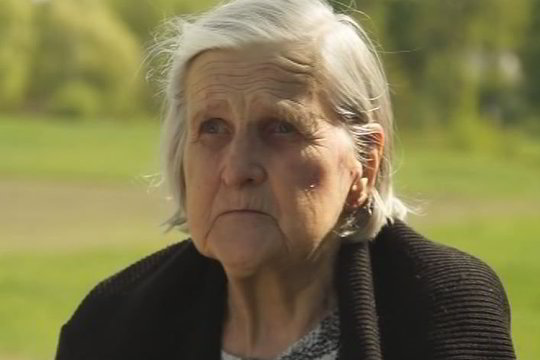 Valstybė tyčiojasi iš valstybinę pensiją siekiančių gauti mamų