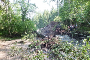 Krekenavoje galinga banga laužė medžius, pylimus ir svarbų kelią