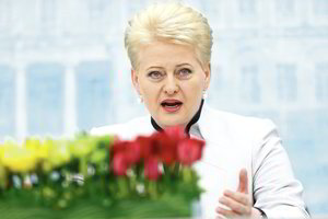 Plieninė Magnolija žydės dar 5 metus. Kuo kvepės?