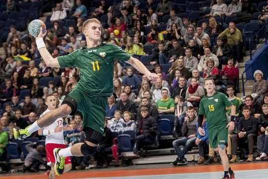 Lietuvos vyrų rankinio rinktinė nori į pasaulio čempionatą