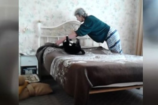 Augintinio talentas: kam tą lovą kloti?