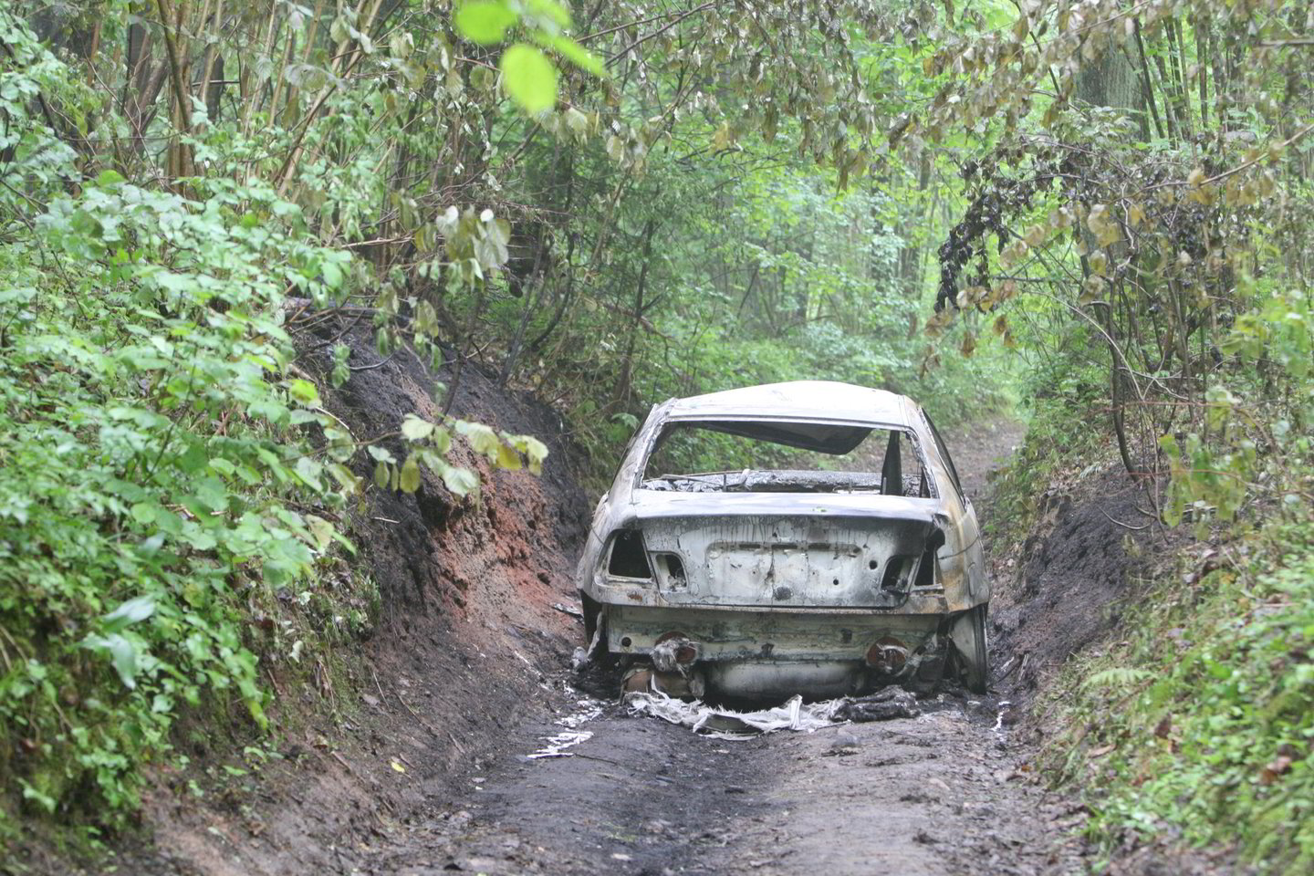 Pirmadienio rytą miškuose prie Vilniaus rastas sudegintas automobilis BMW.
